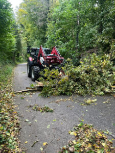 2025-10-04 Baum über Strasse